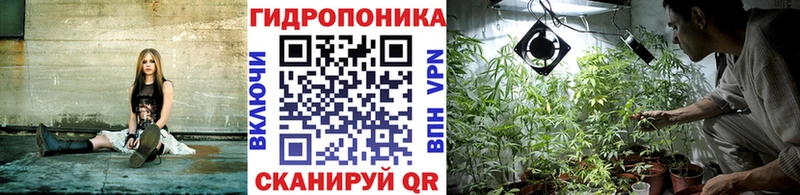Купить COCAIN  Марихуана  Меф мяу мяу  СОЛЬ  ГАШИШ  Новосибирск
