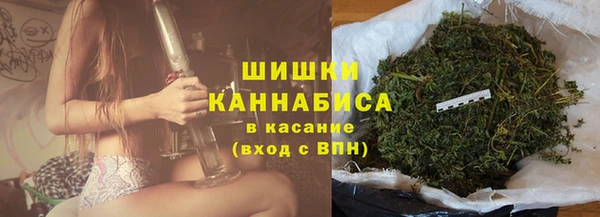ПСИЛОЦИБИНОВЫЕ ГРИБЫ Каменка