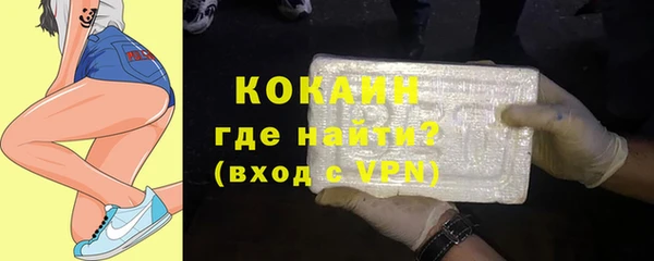 ПСИЛОЦИБИНОВЫЕ ГРИБЫ Каменка
