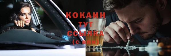 ПСИЛОЦИБИНОВЫЕ ГРИБЫ Каменка