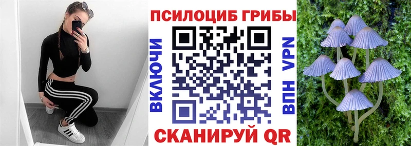 Псилоцибиновые грибы ЛСД  Купить  Новосибирск 